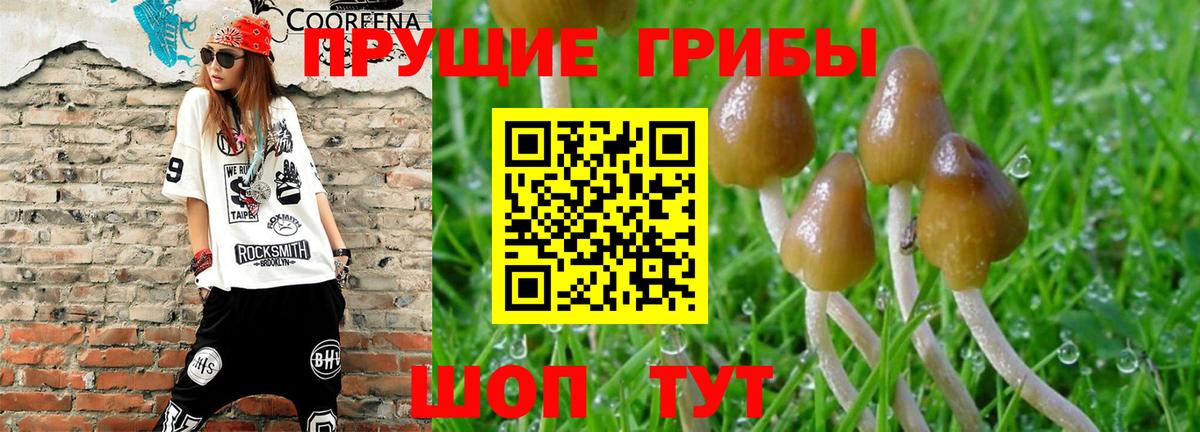 Псилоцибиновые грибы мухоморы Севастополь